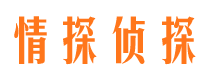 清水河侦探